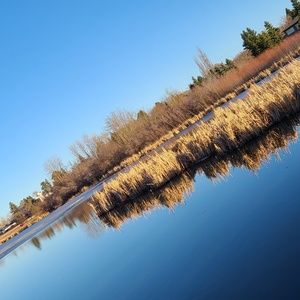 Meet your Posher, Shirley